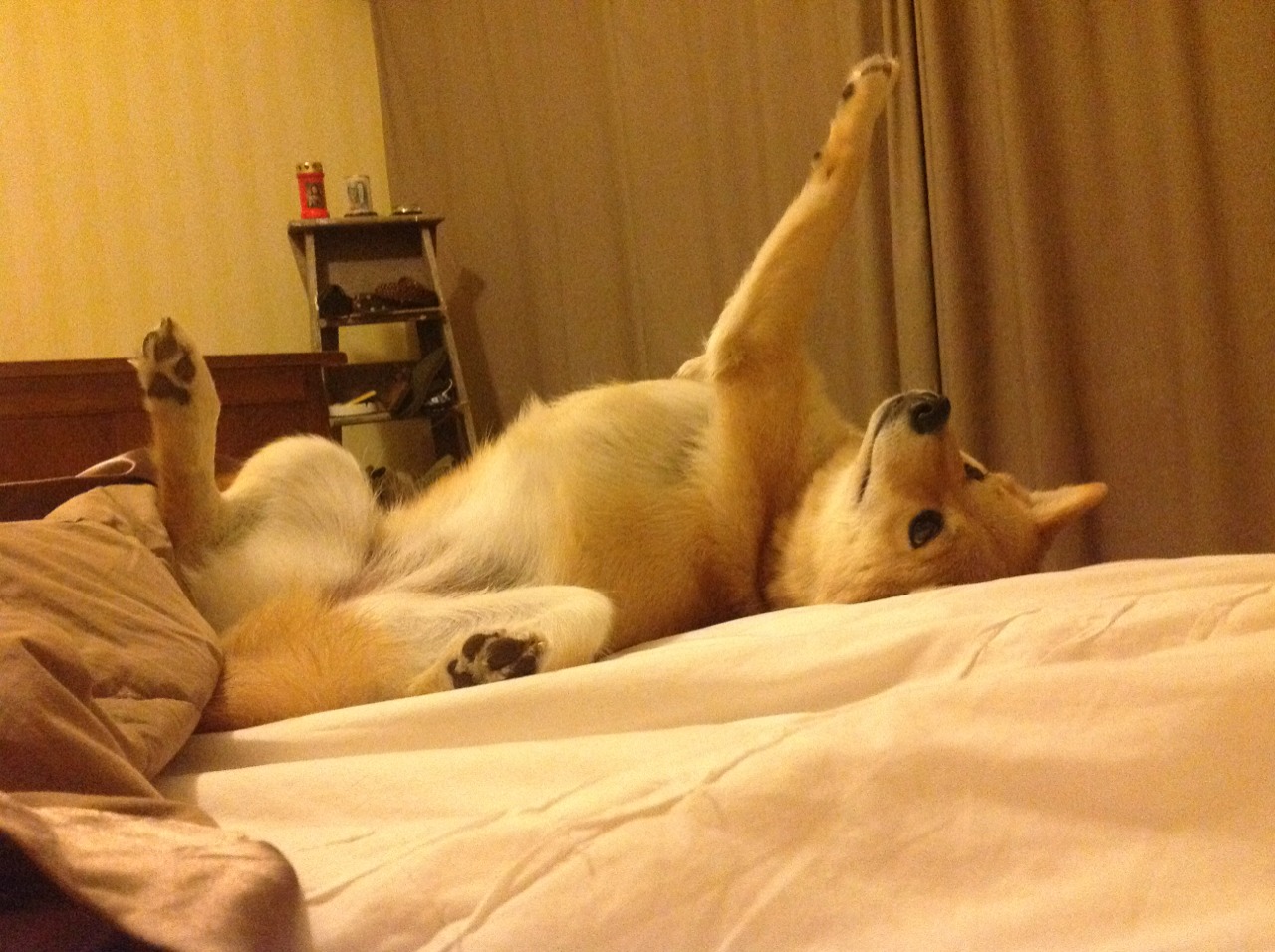 莱奥接管世界排名争夺战,葡萄牙打穿冰岛背后的战术革命与个人英雄主义