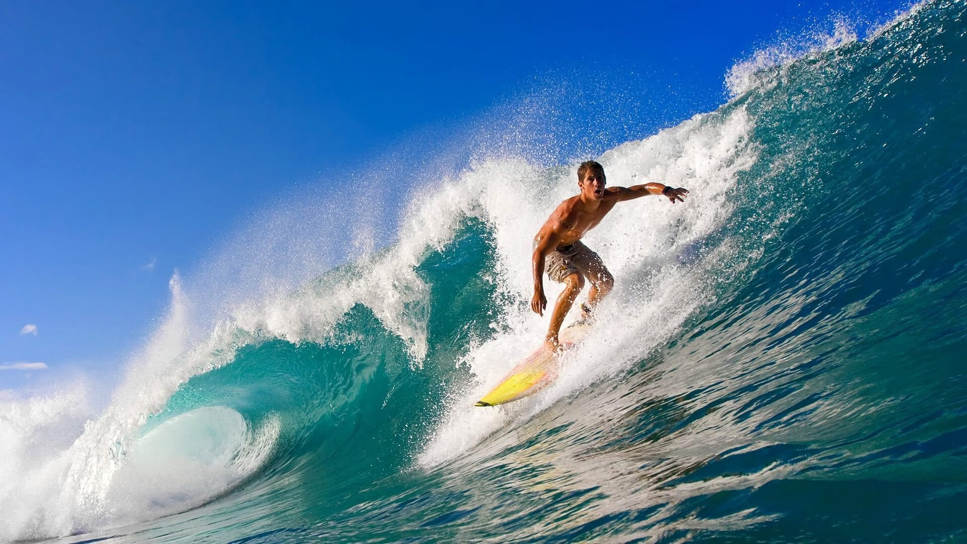 塞内加尔奇迹与英超新王，足球世界的双重变奏